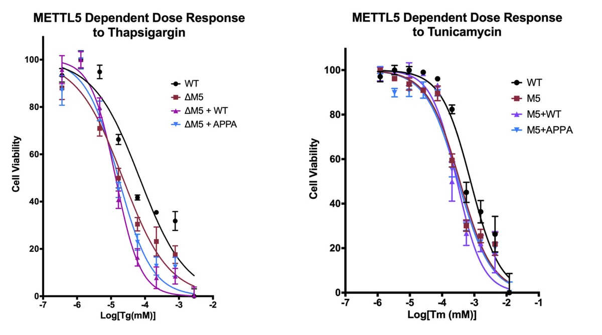 METTL5 dose response curves